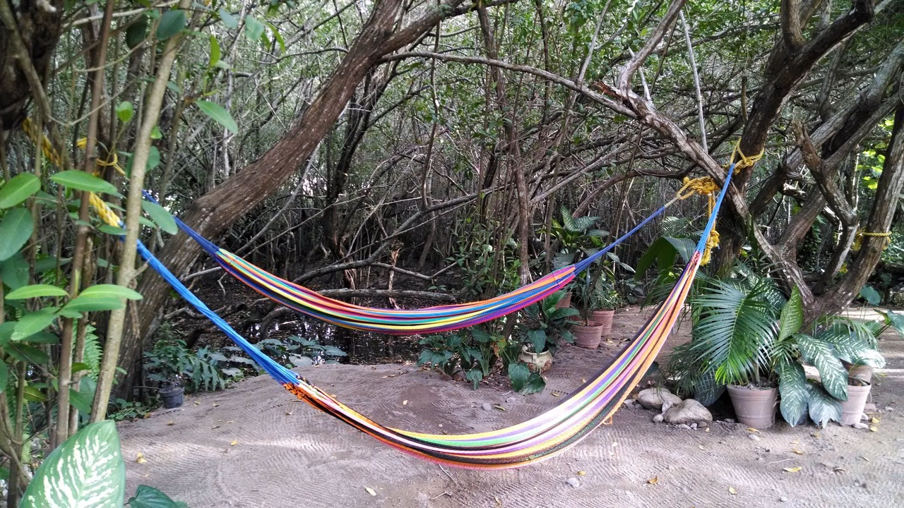 Photo of Outdoor in Los Ayala