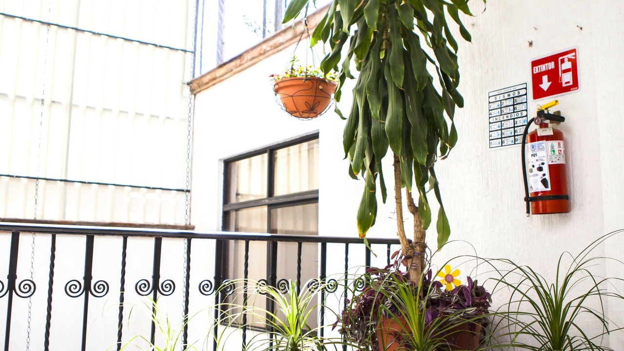 Photo of Outdoor in La Cruz