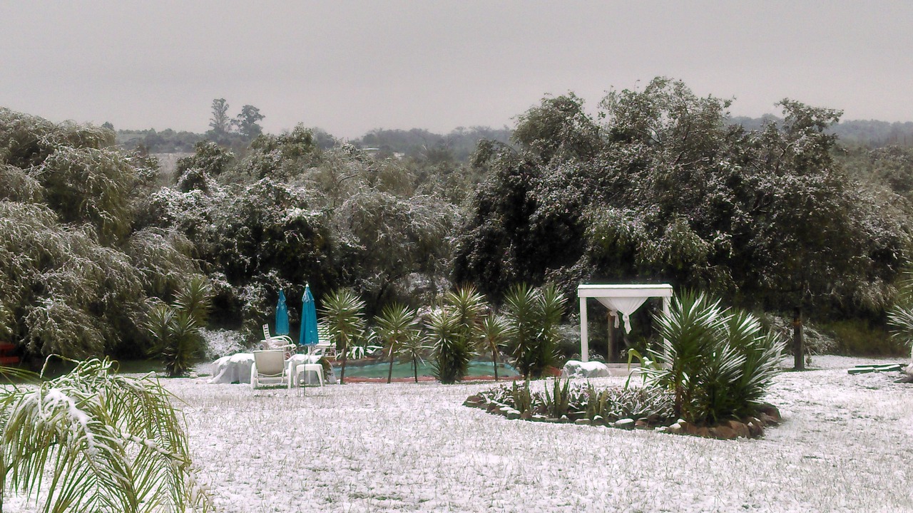 Photo of Outdoor in La Cascara