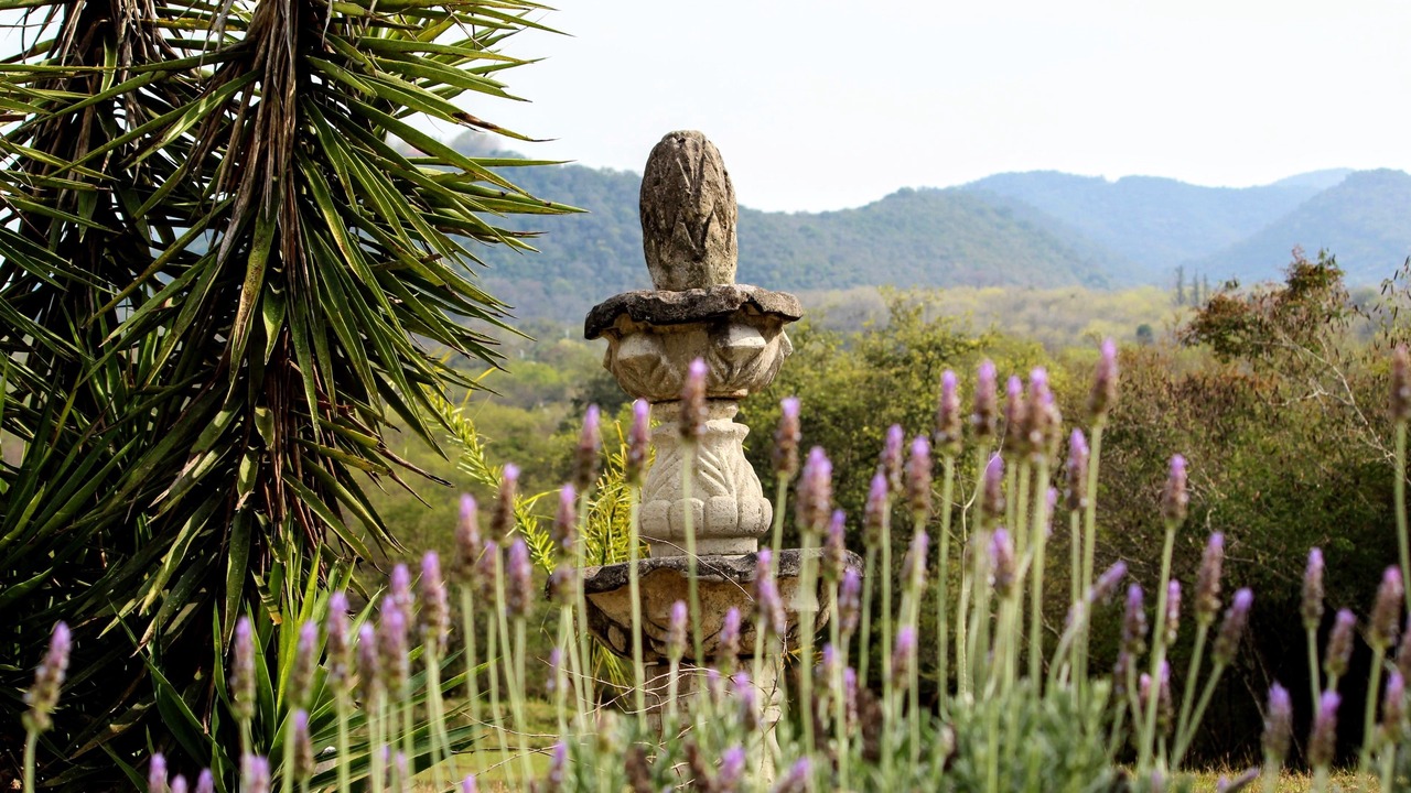 Photo of Outdoor in La Cascara