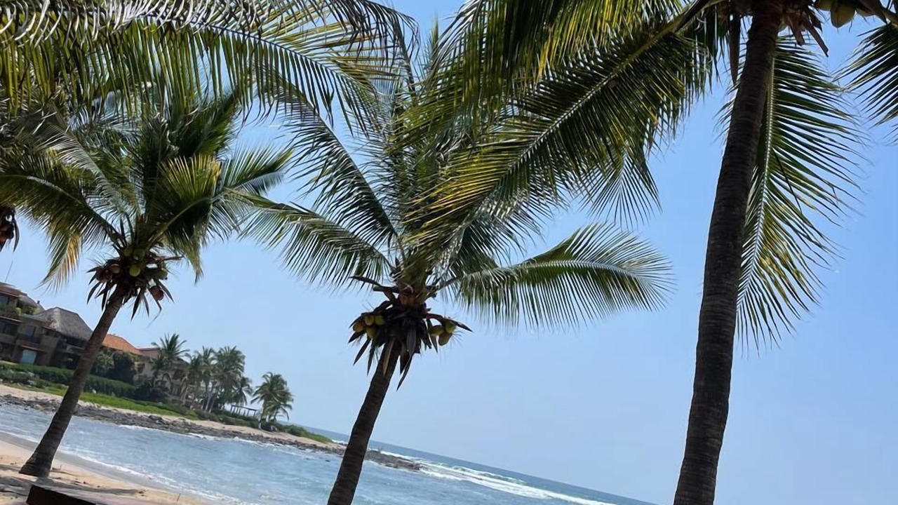 Photo of Outdoor in Troncones