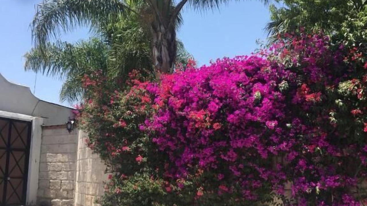 Photo of Outdoor in Centro