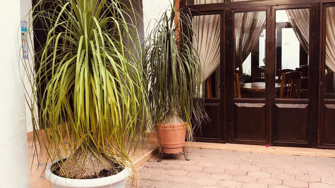 Photo of Patio Balcony in Centro