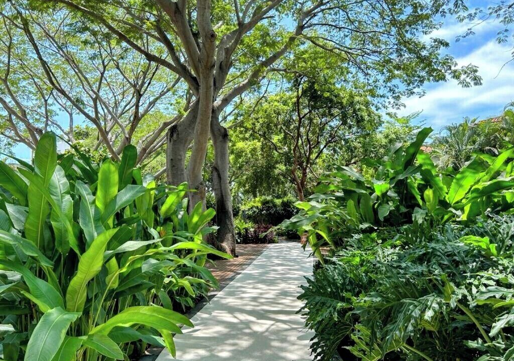 Photo of Outdoor in La Puntilla