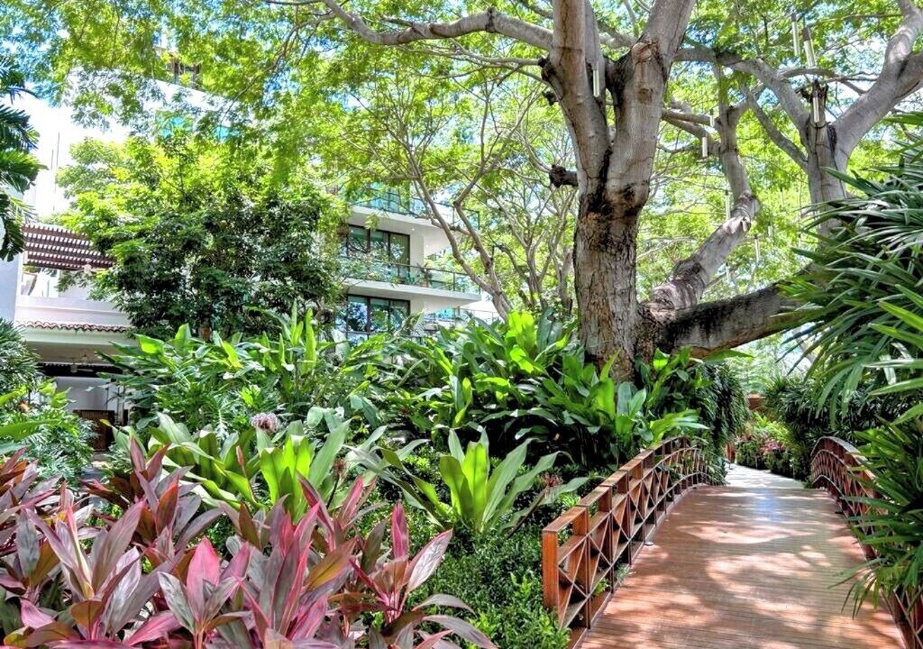 Photo of Outdoor in La Puntilla