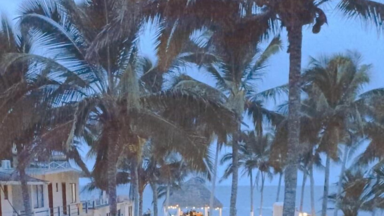 Photo of Outdoor in Tecolutla