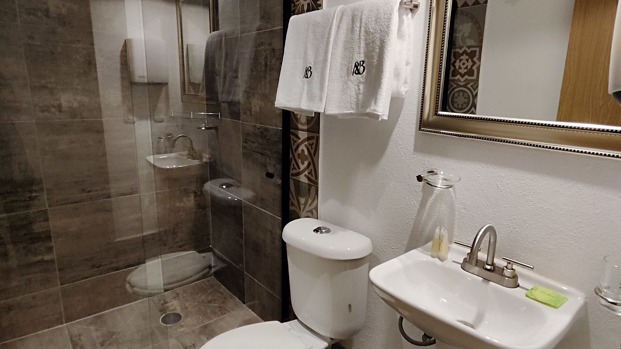 Photo of Bathroom in El Salto