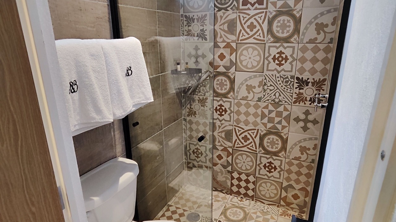 Photo of Bathroom in El Salto