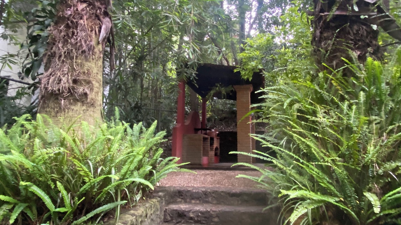 Photo of Outdoor in Puebla
