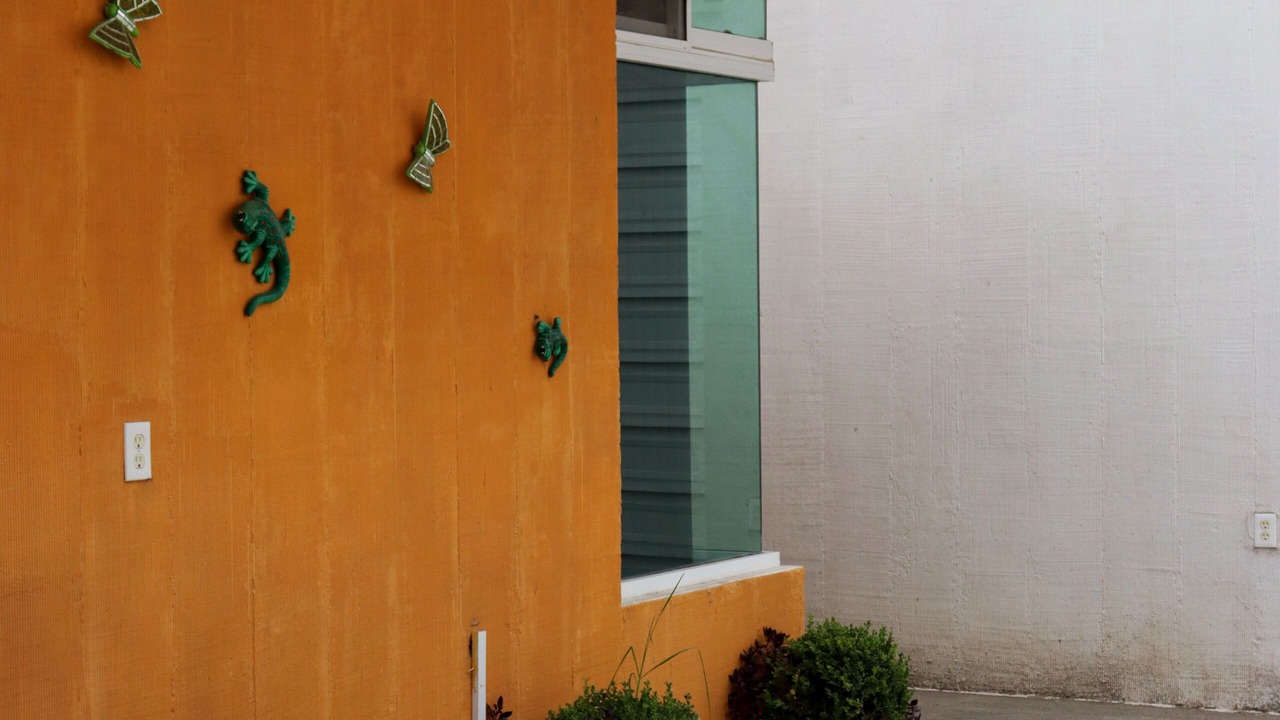 Photo of Outdoor in Tehuacan