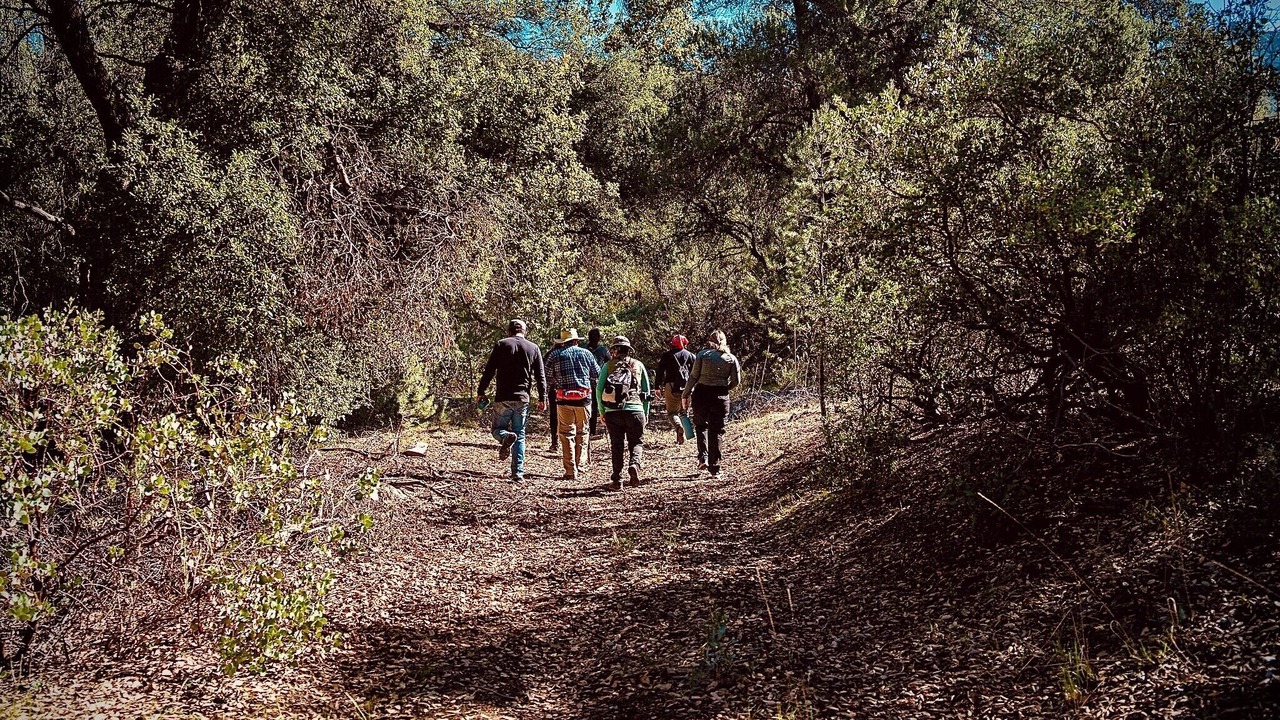 Photo of Others in San Rafael