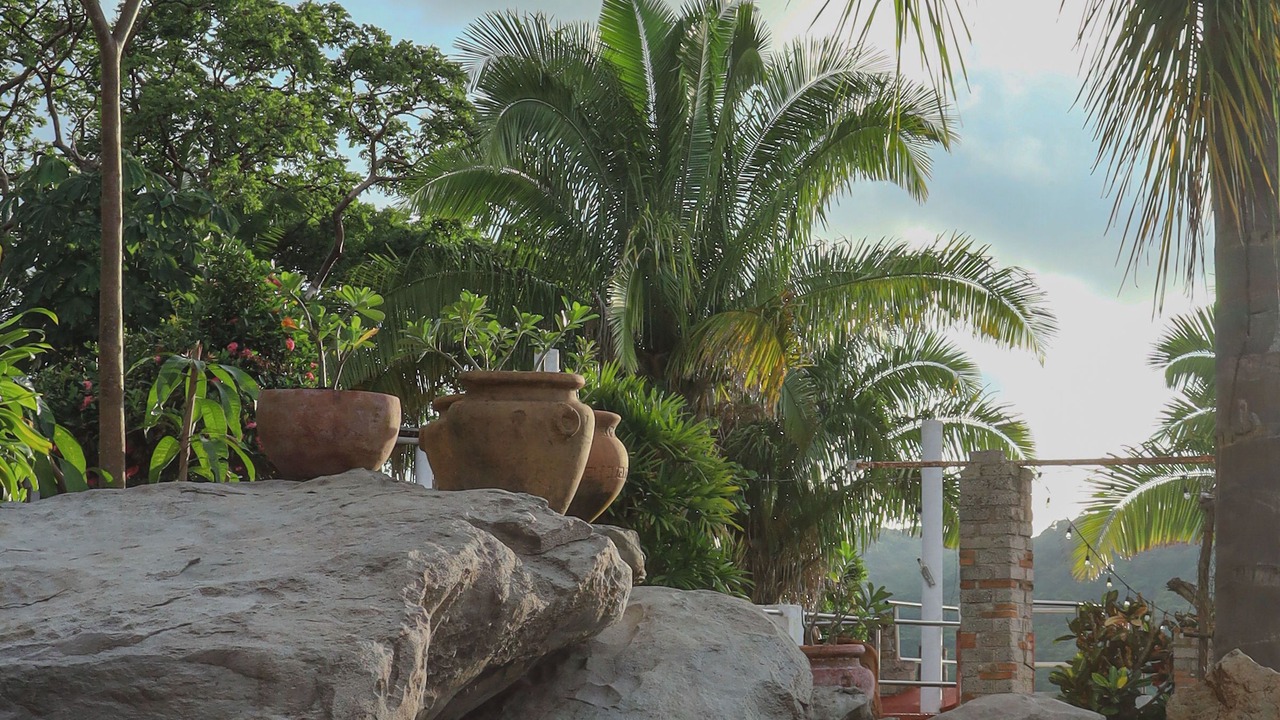 Photo of Outdoor in Rincon de Guayabitos