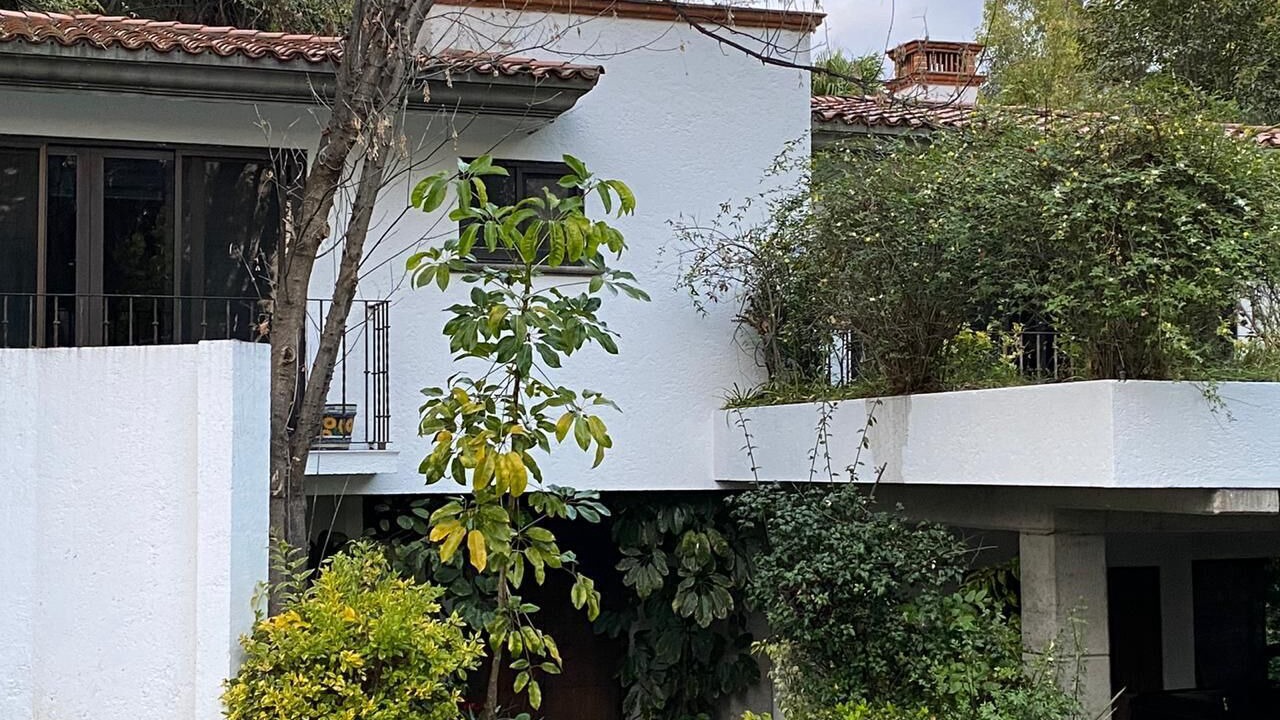 Photo of Outdoor in Puebla