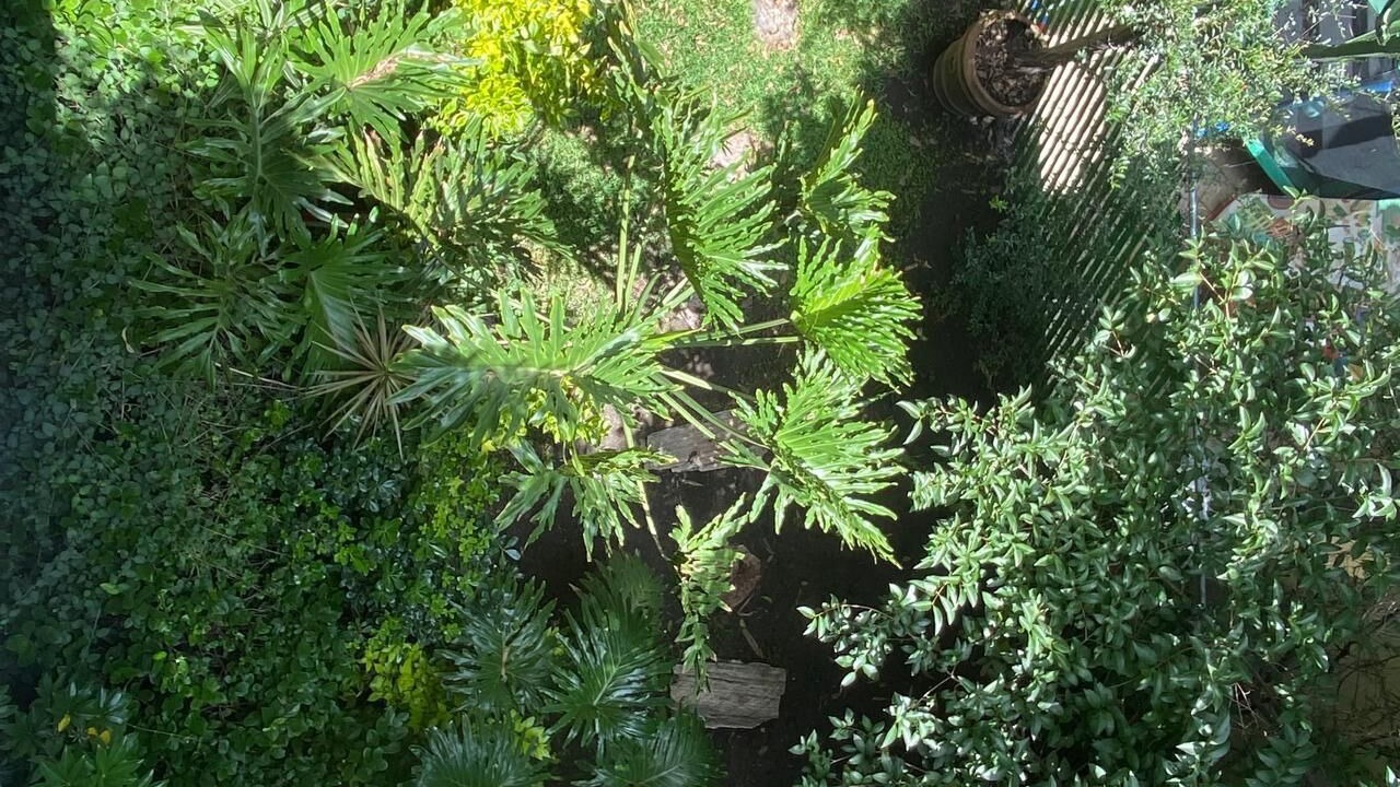Photo of Outdoor in Puebla