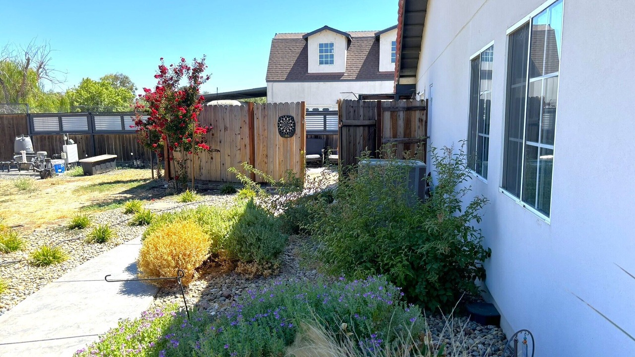 Photo of Outdoor in Woodland