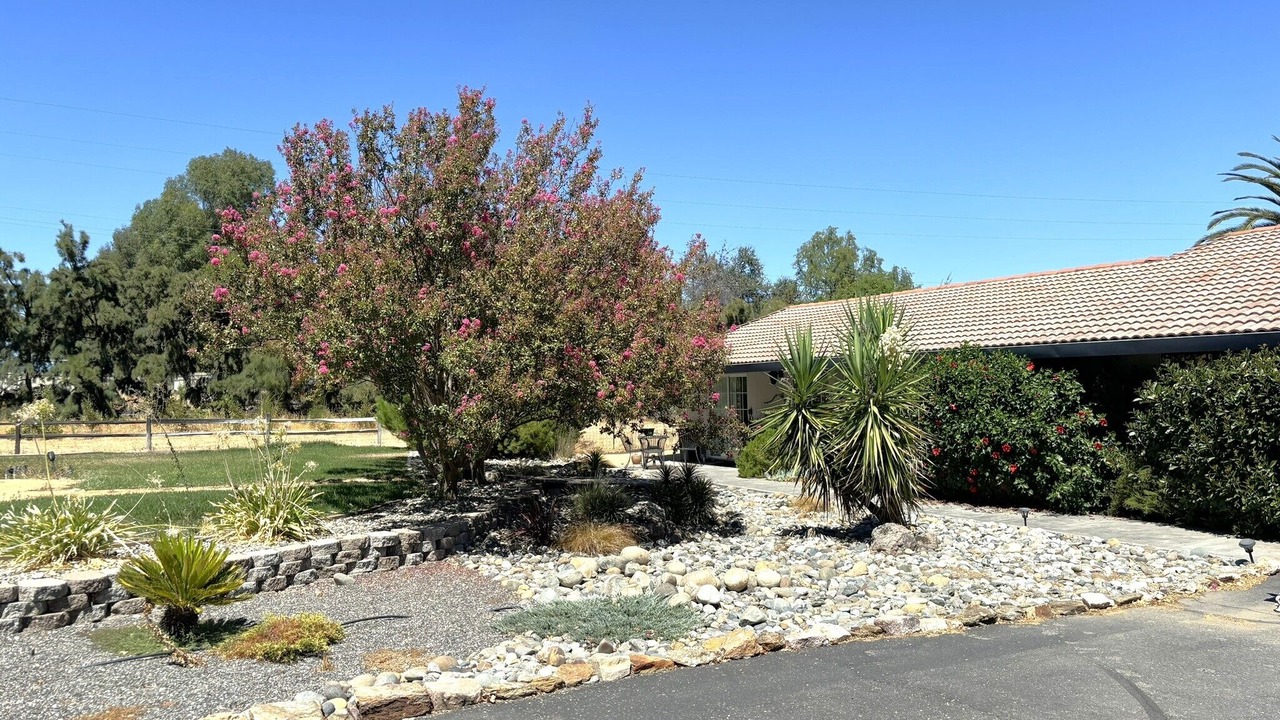 Photo of Outdoor in Woodland
