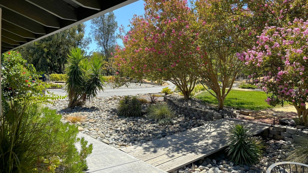 Photo of Outdoor in Woodland