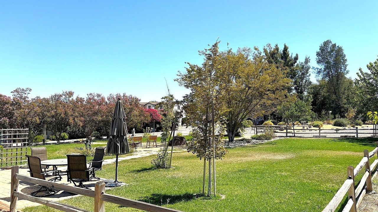 Photo of Outdoor in Woodland