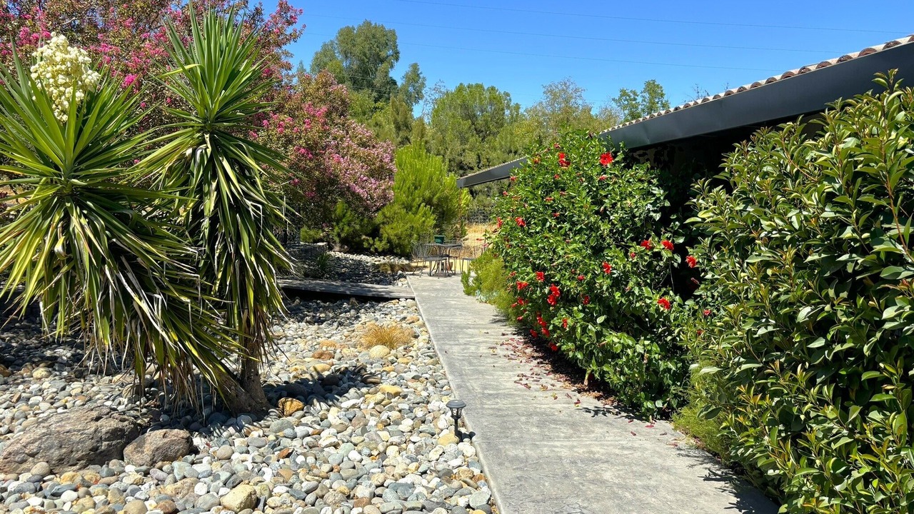 Photo of Outdoor in Woodland