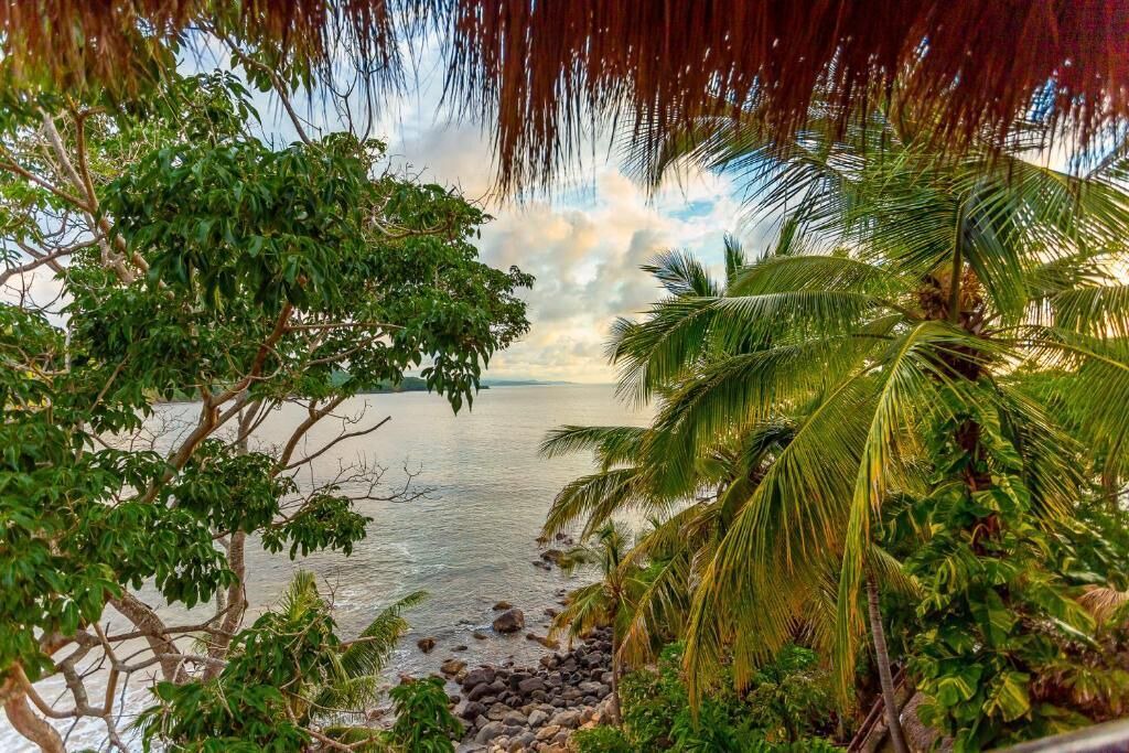 Photo of Others in Chacala