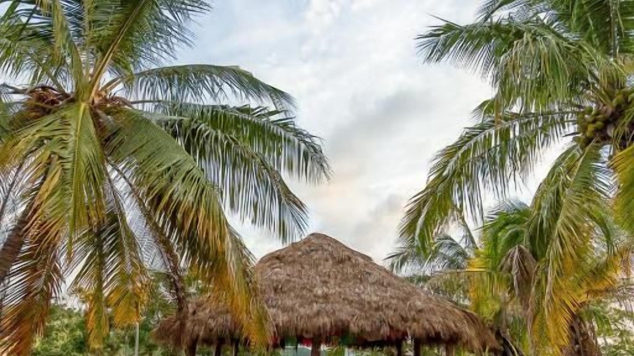 Photo of Outdoor in Chacala