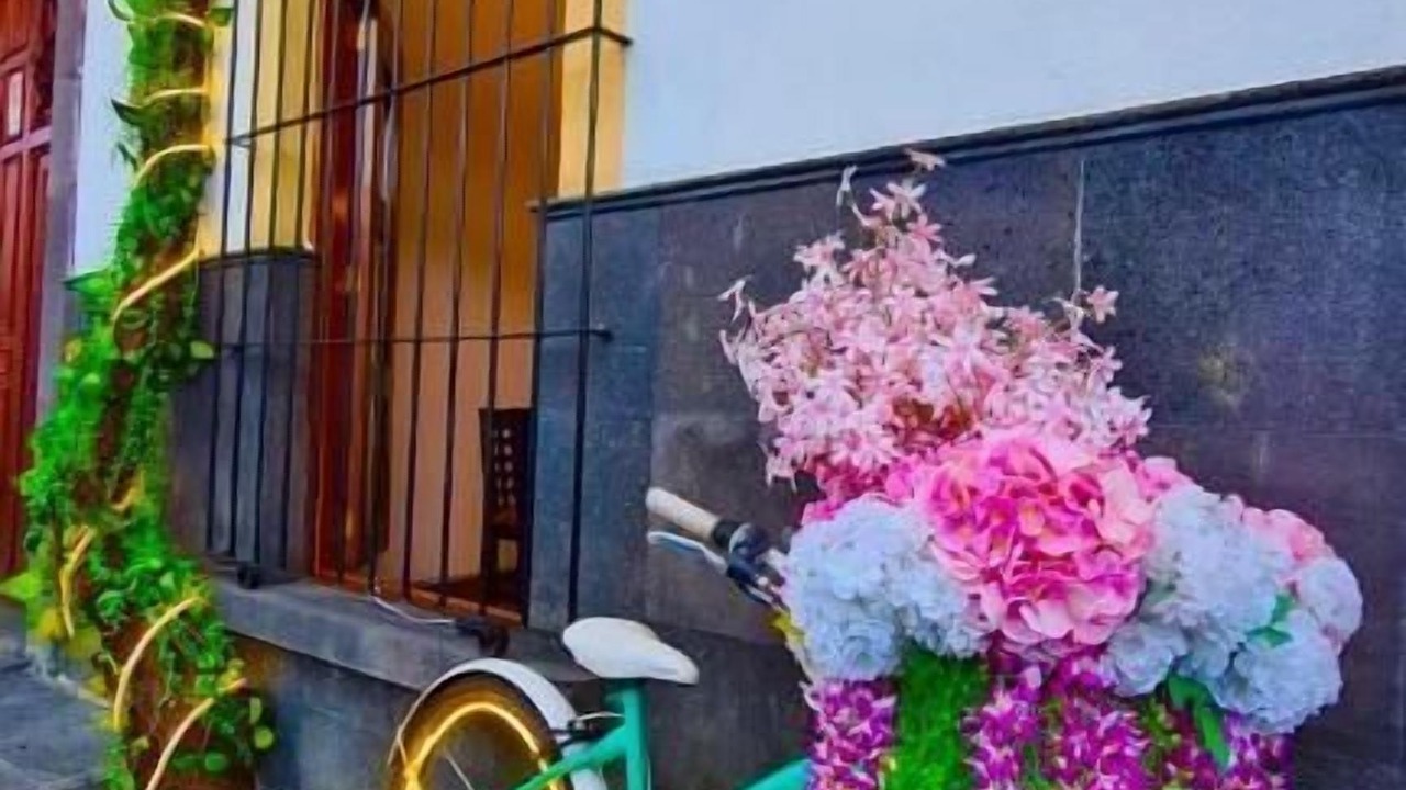 Photo of Outdoor in Coatepec