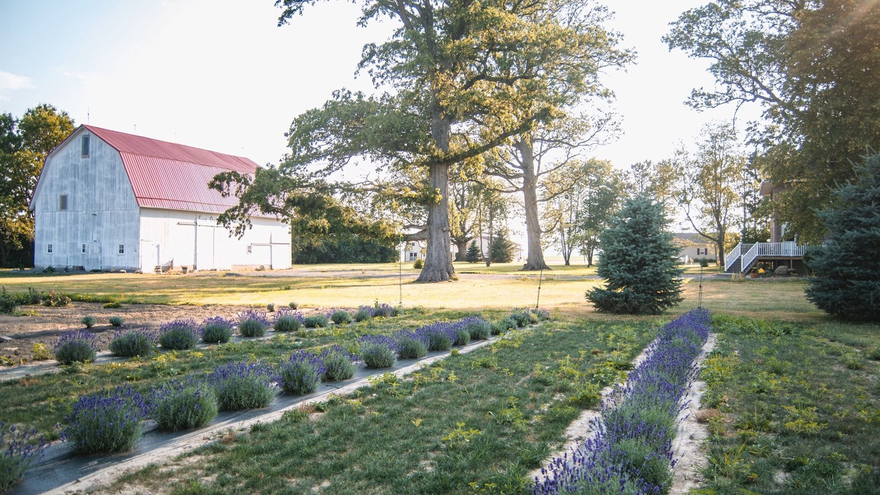 Photo of Outdoor in Van Wert