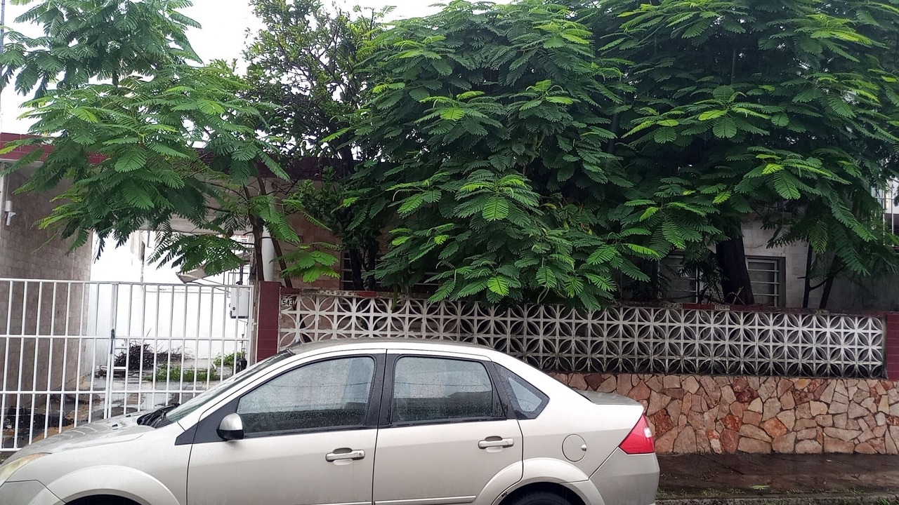 Photo of Outdoor in Veracruz