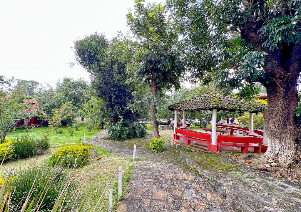 Photo of Outdoor in Patzcuaro
