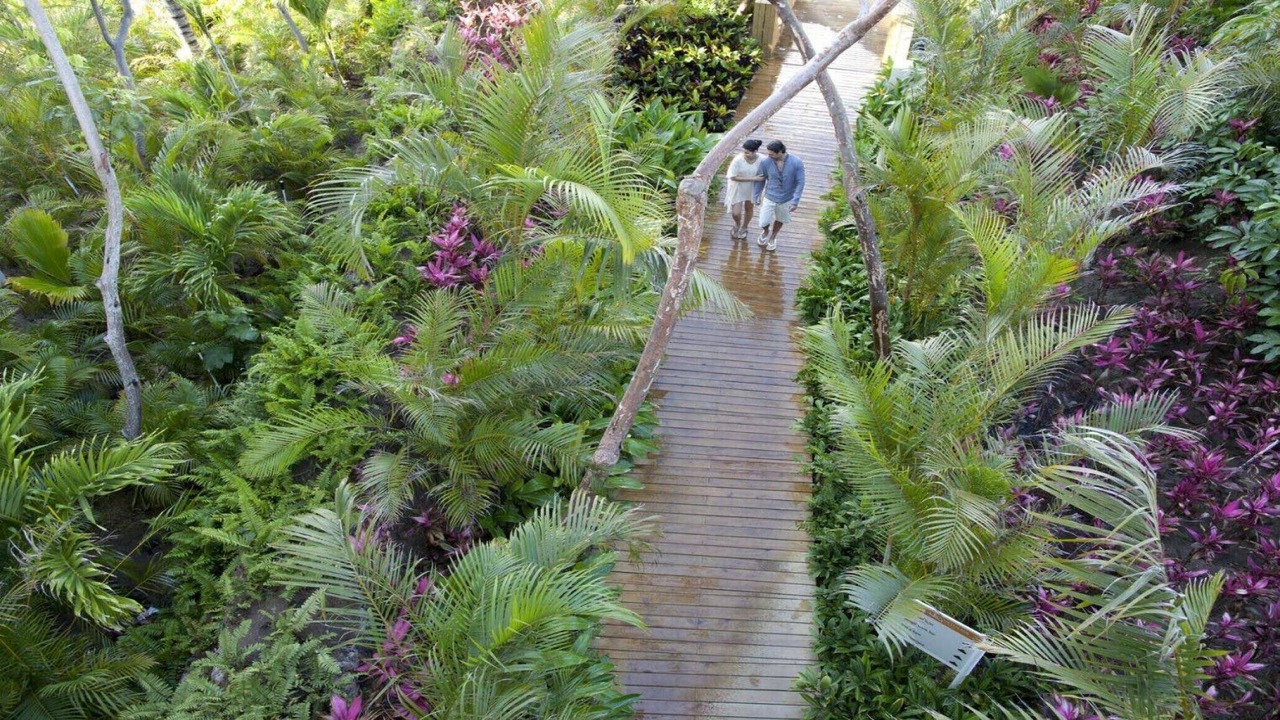 Photo of Outdoor in Valle Dorado