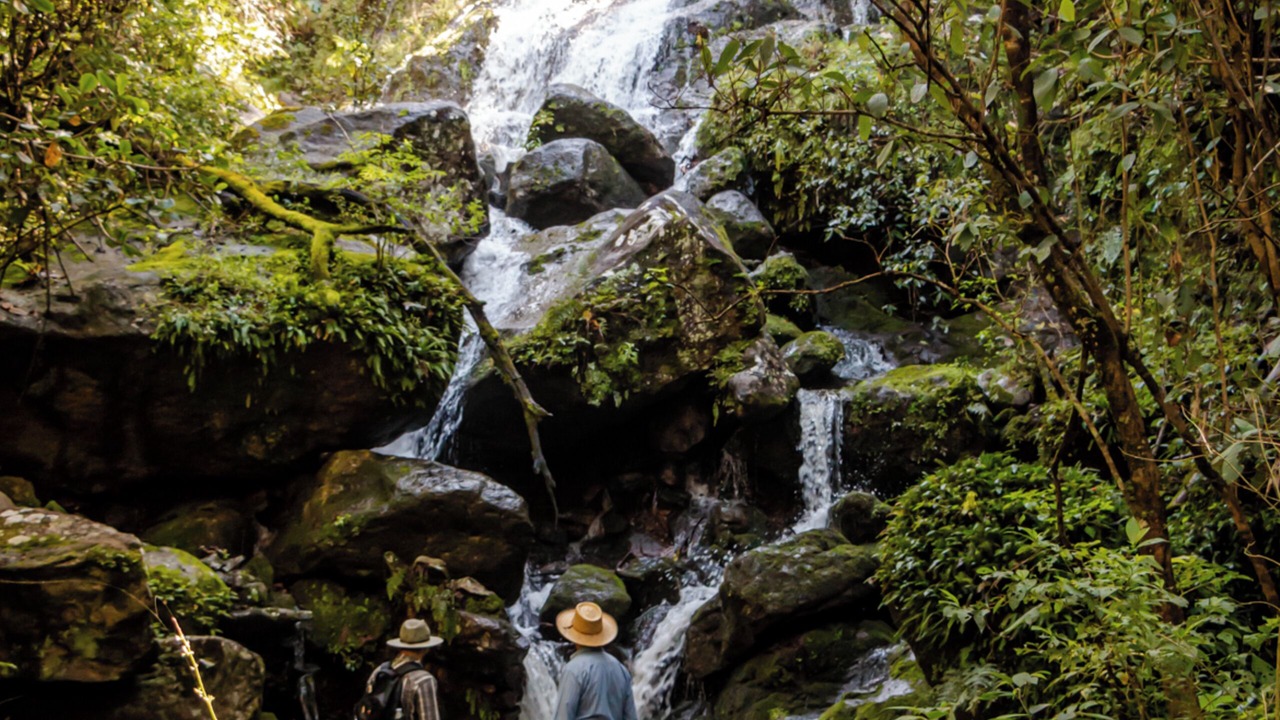 Photo of Outdoor in Mascota