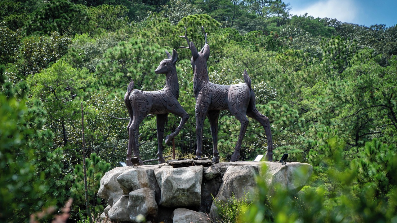 Photo of Outdoor in Mascota
