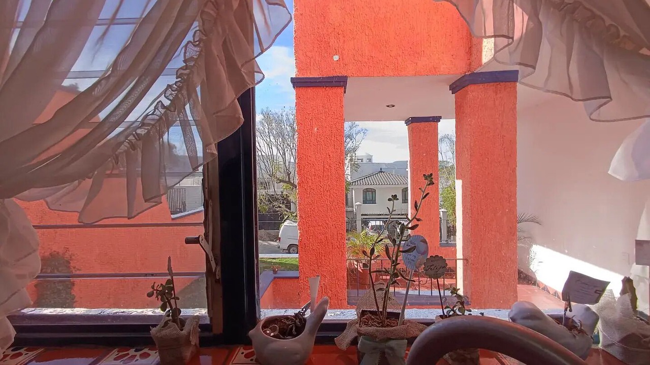 Photo of Others in Zapopan