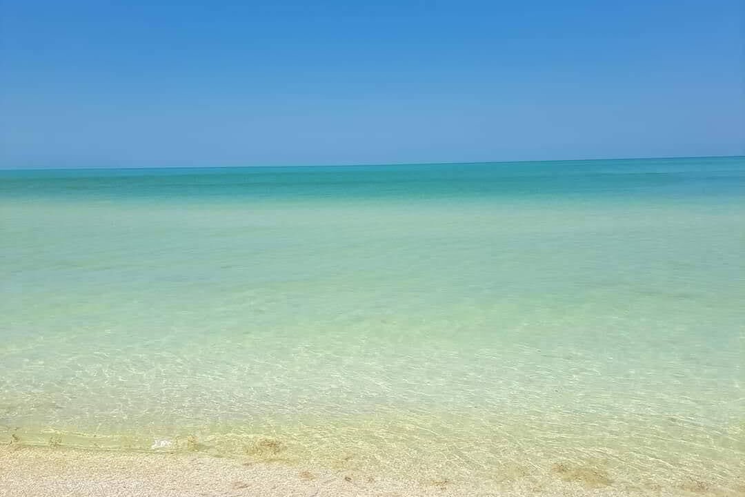 Photo of Outdoor in Celestun