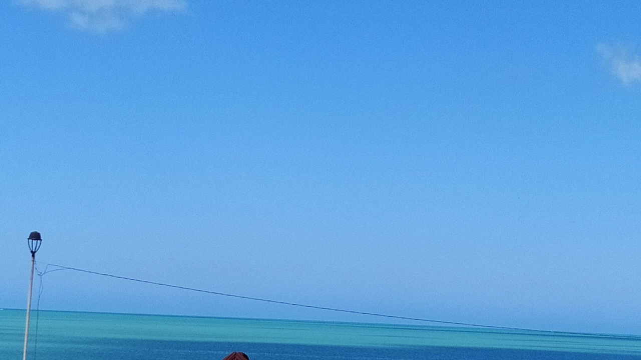 Photo of Outdoor in Celestun