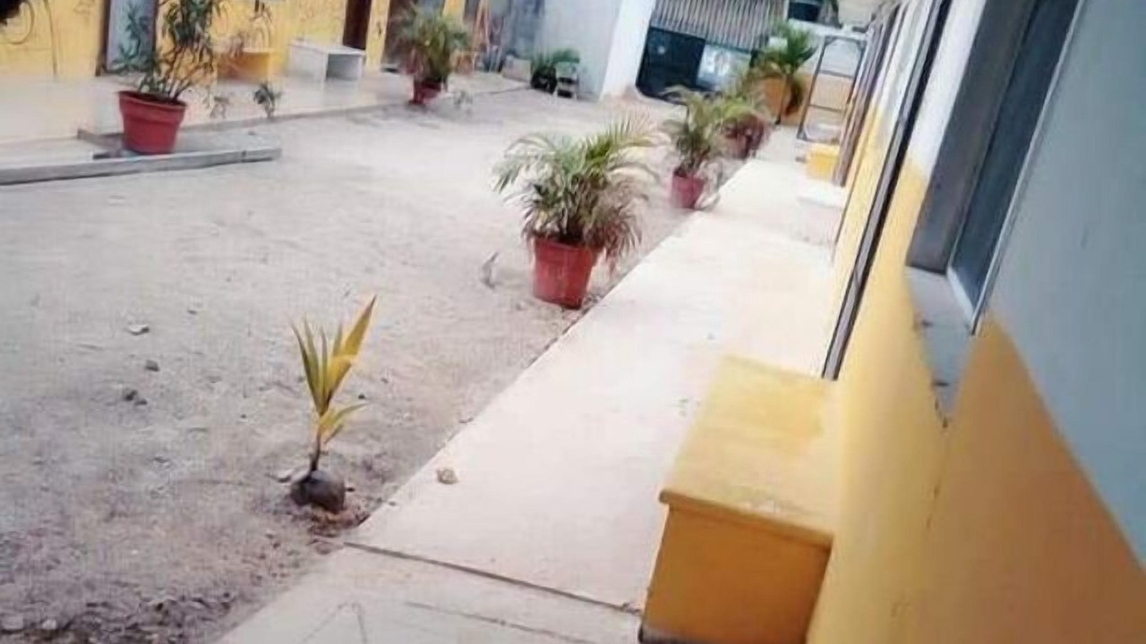 Photo of Patio Balcony in Celestun