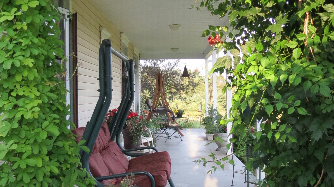 Photo of Outdoor in Clare