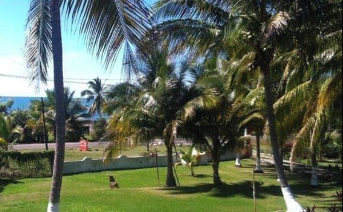 Photo of Outdoor in Aticama