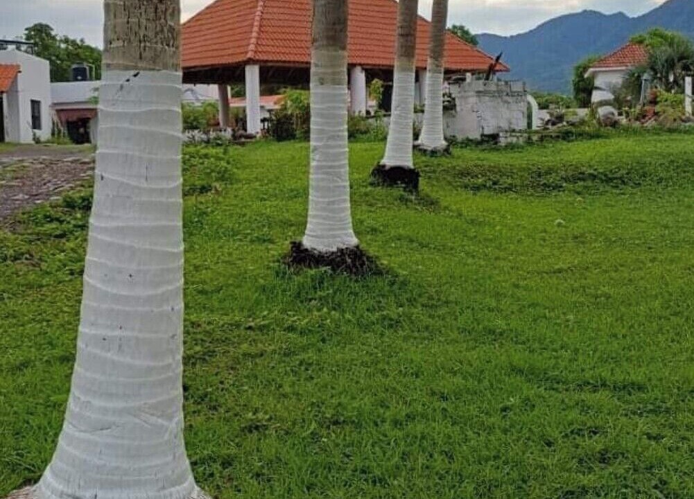 Photo of Outdoor in Aticama