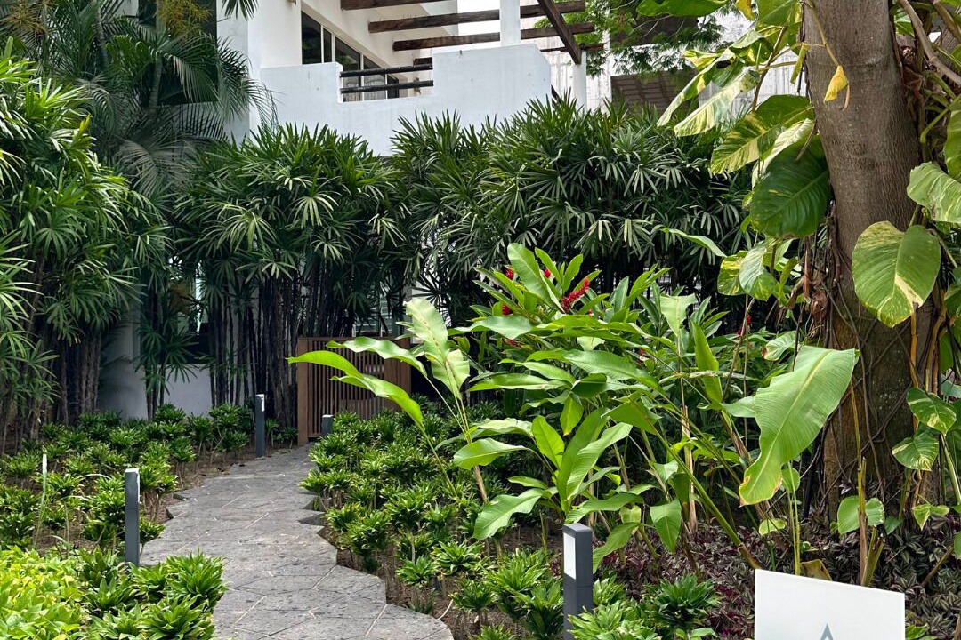 Photo of Outdoor in La Puntilla