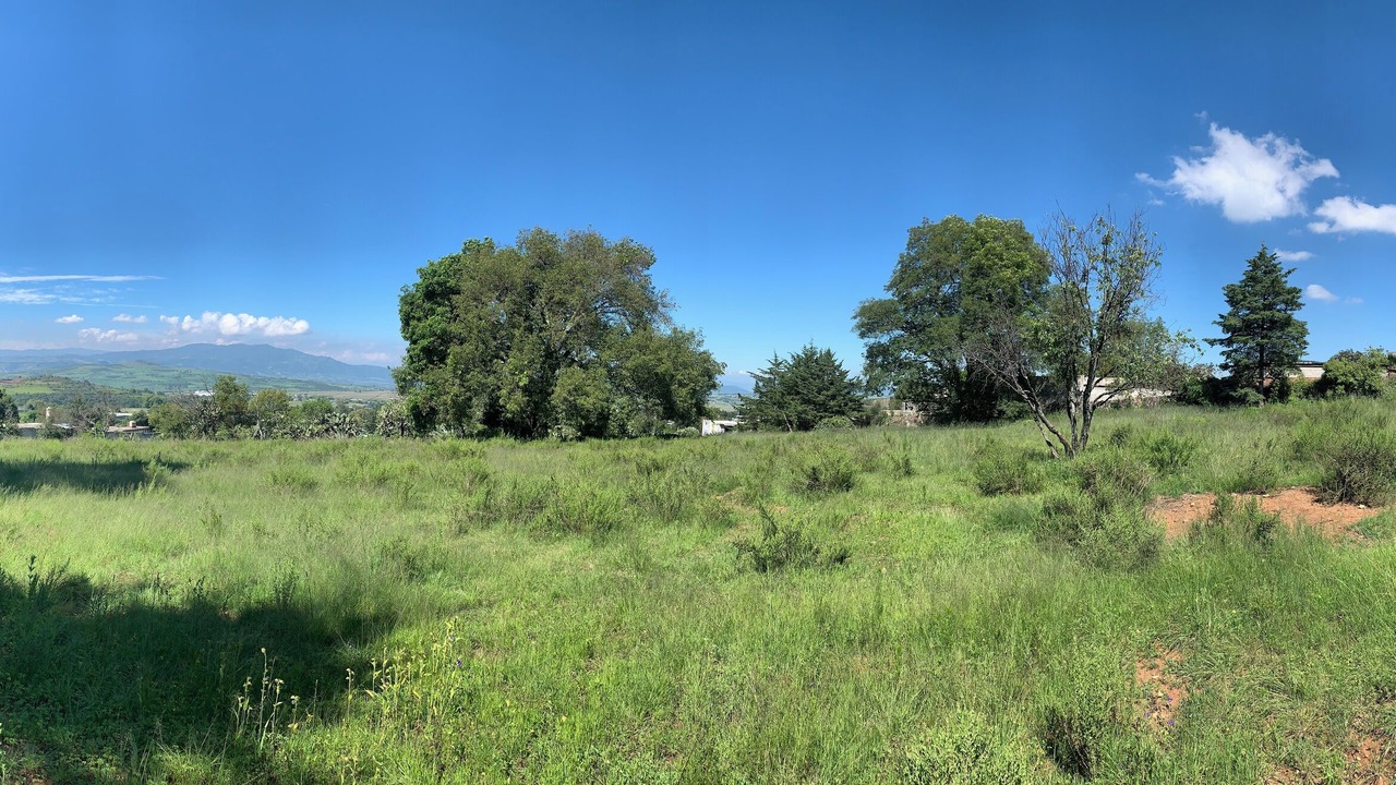 Photo of Outdoor in Contepec