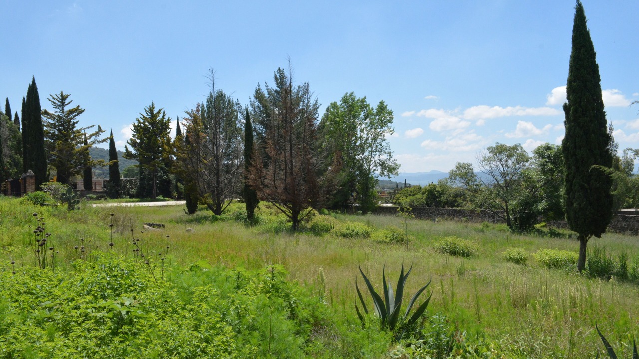 Photo of Outdoor in Contepec