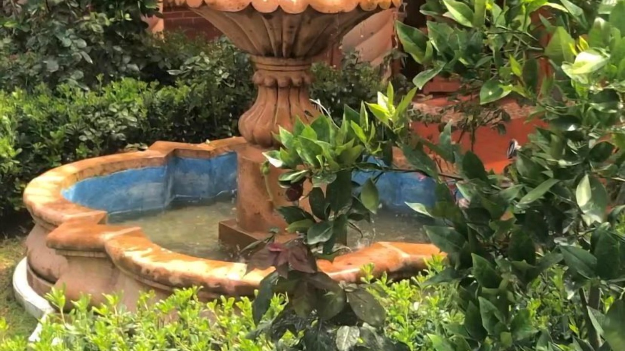 Photo of Outdoor in Atlautla