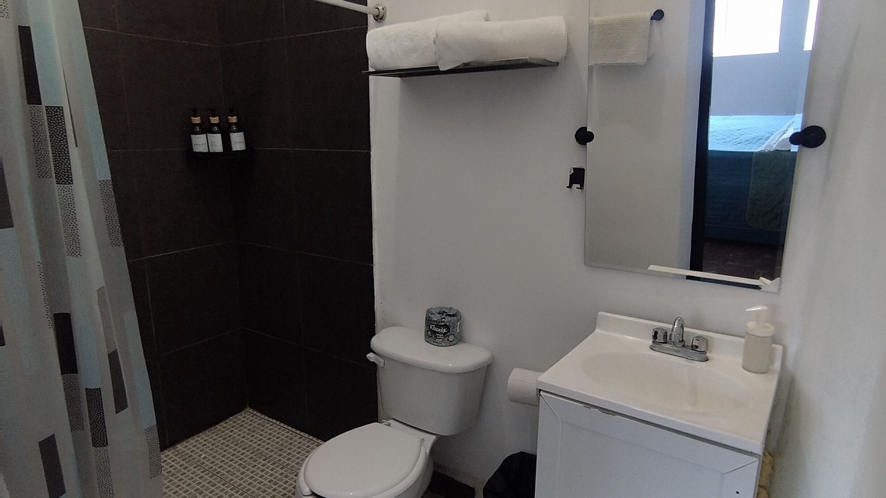 Photo of Bathroom in Monterrey Centro