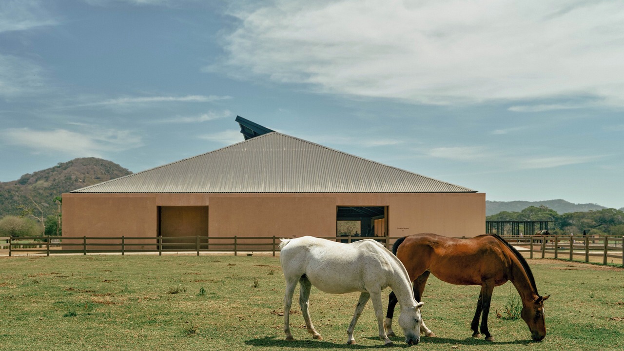 Photo of Others in El Monteon