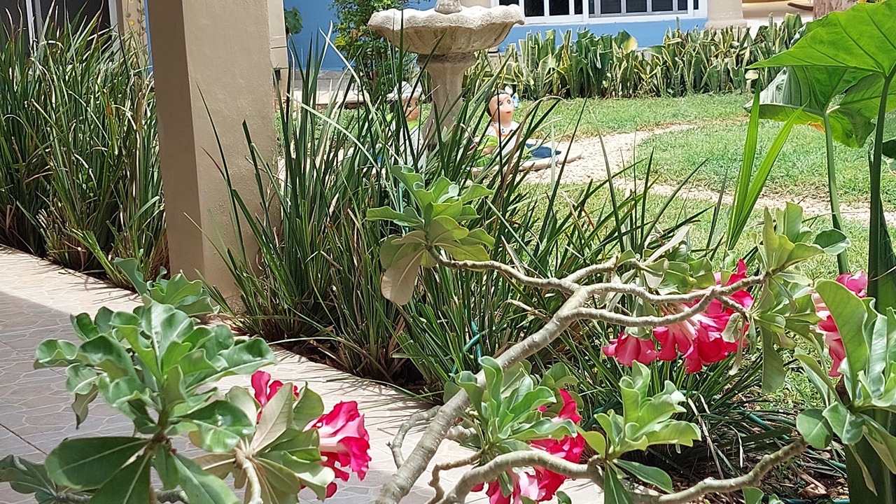 Photo of Outdoor in Montecarlo