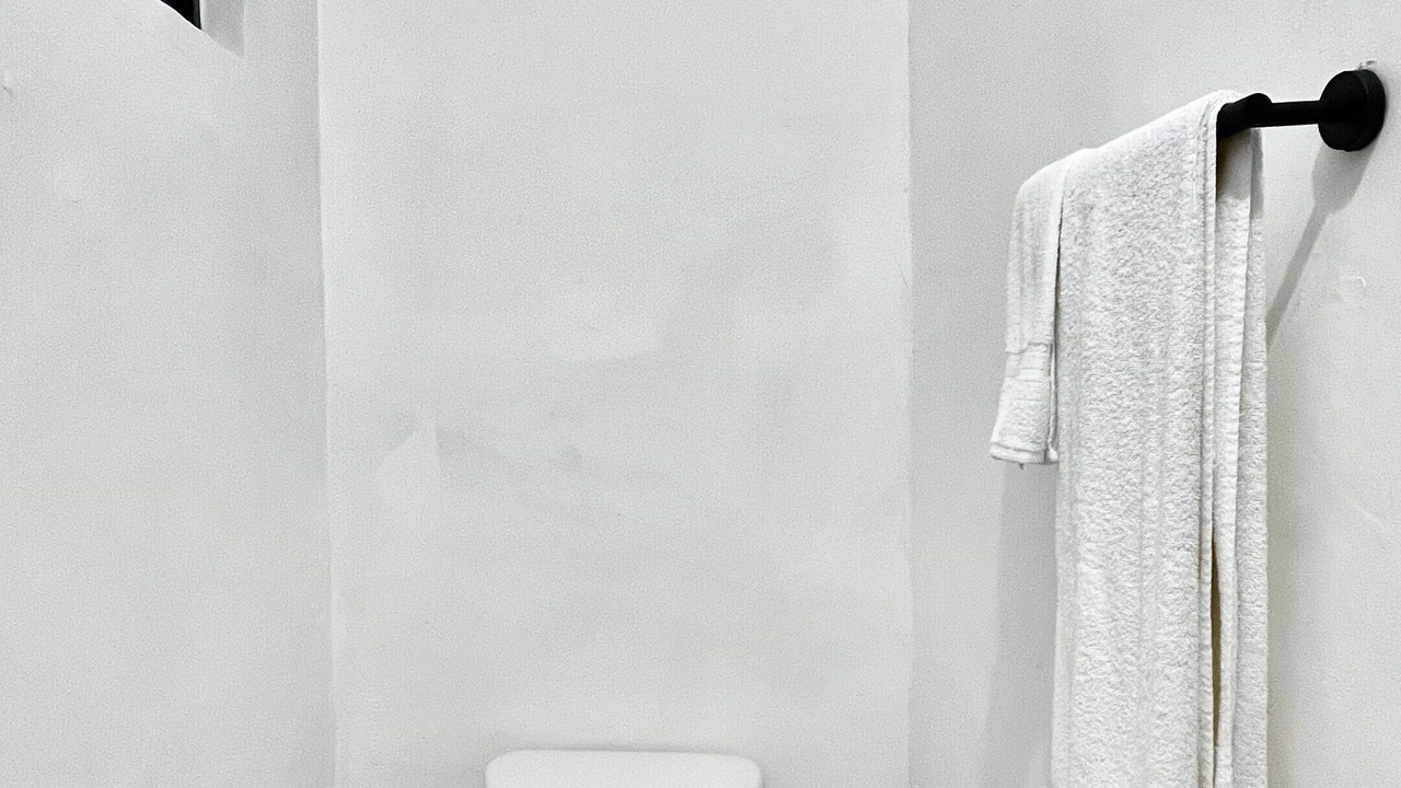 Photo of Bathroom in Monterrey Centro