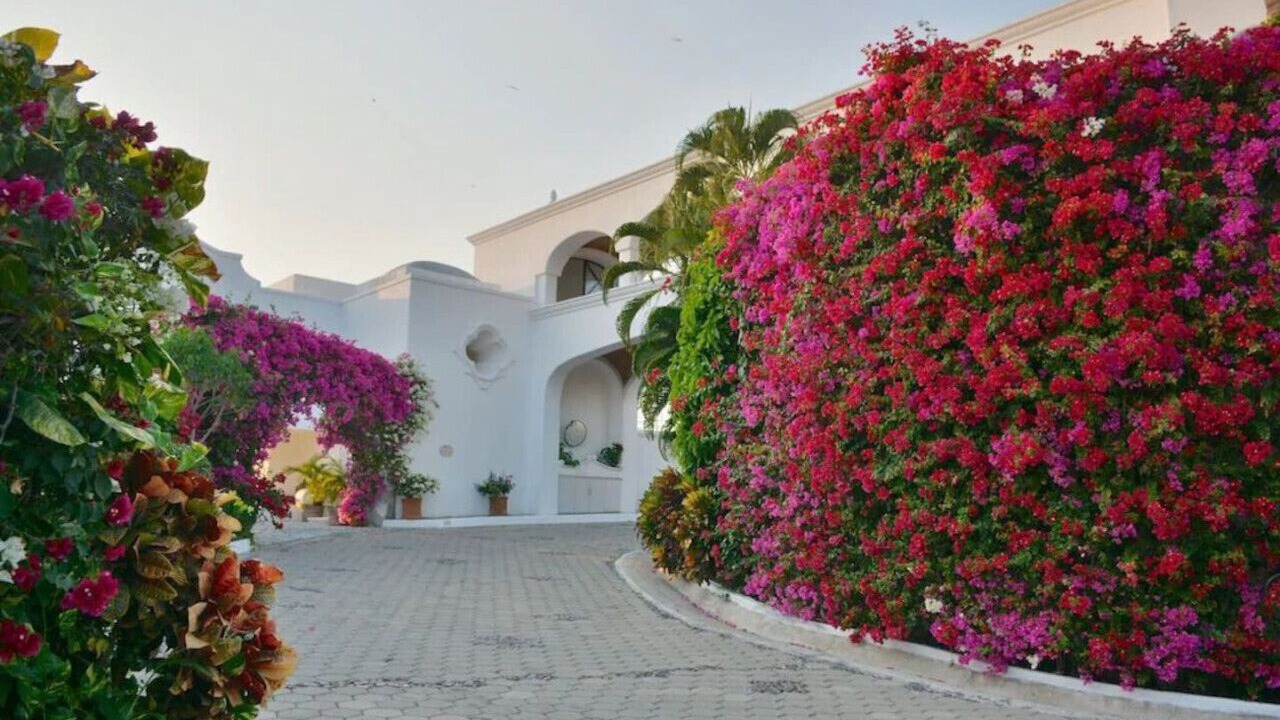 Photo of Outdoor in La Punta
