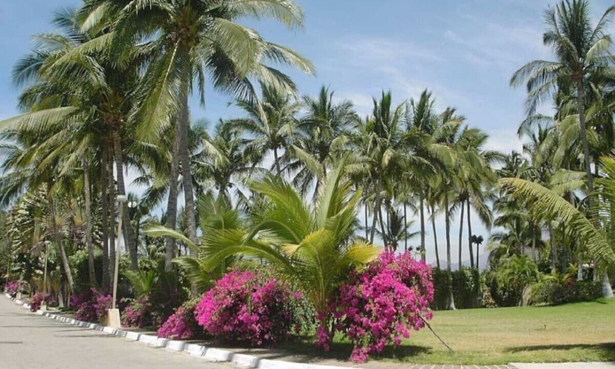 Photo of Outdoor in La Punta