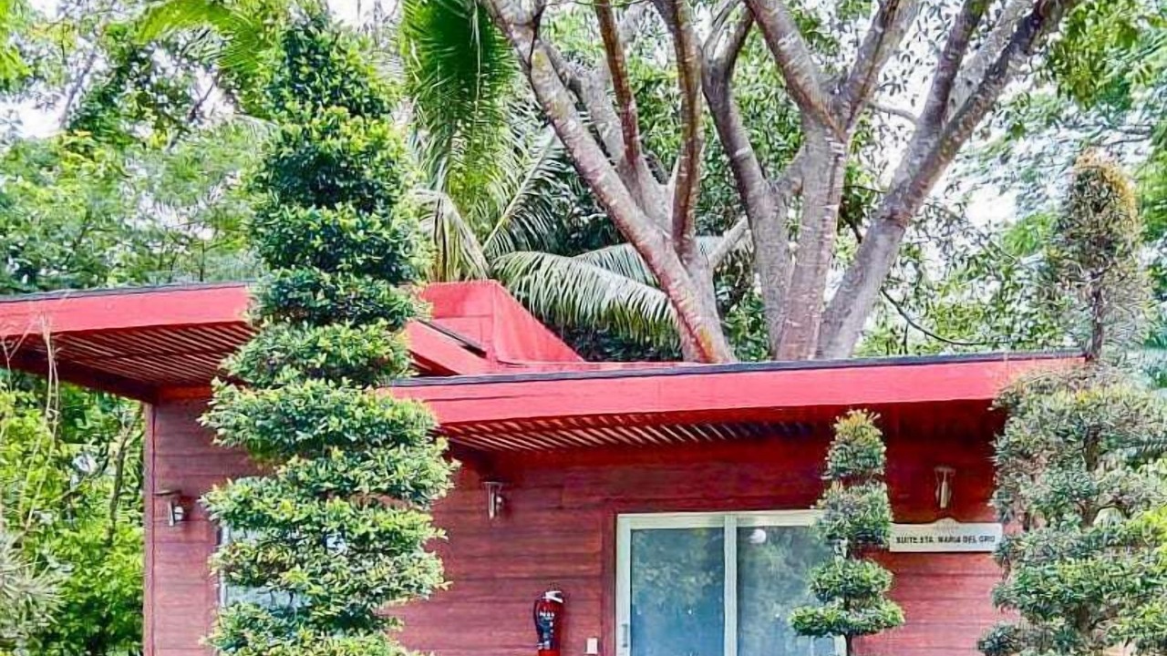 Photo of Outdoor in La Laguna